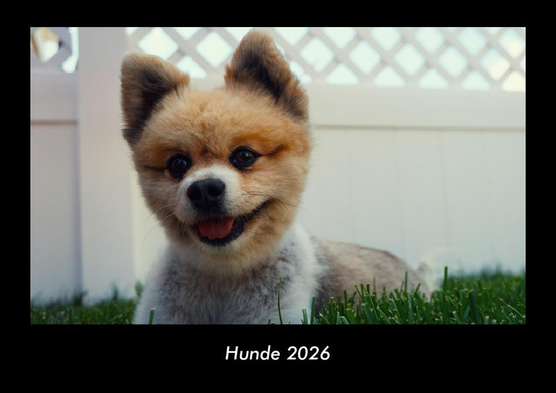 Hunde Fotokalender 2026 - Hauptbild