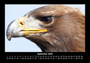 Adler Fotokalender 2026 - 9