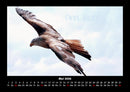 Adler Fotokalender 2026 - 5
