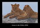 Löwen in der Wildnis Fotokalender 2026 - Hauptbild