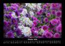 Blumenkalender Fotokalender 2026 - 10