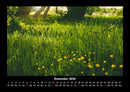 Blumenkalender Fotokalender 2026 - 12