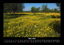 Blumenkalender Fotokalender 2026 - 3