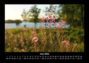 Blumenkalender Fotokalender 2026 - 6