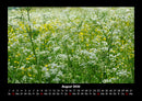 Blumenkalender Fotokalender 2026 - 8