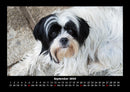 Der Hundekalender Fotokalender 2026 - 9