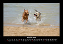 Der Hundekalender Fotokalender 2026 - 2