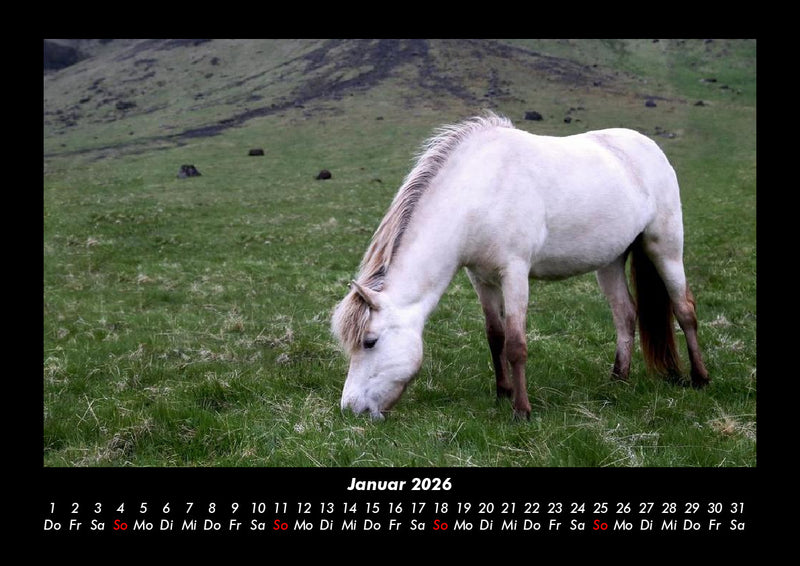 Die Welt der Pferde Fotokalender 2026 - 1