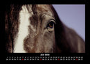 Die Welt der Pferde Fotokalender 2026 - 6