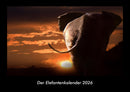Der Elefantenkalender Fotokalender 2026 - Hauptbild