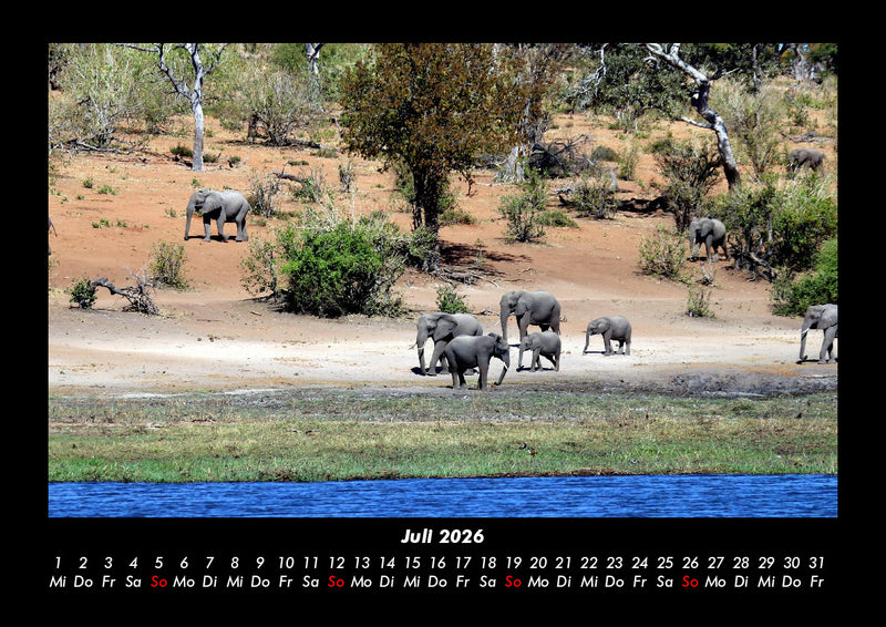 Der Elefantenkalender Fotokalender 2026 - 7