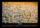 Bilder der Natur Fotokalender 2026 - 7