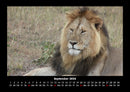 Zoobewohner Fotokalender 2026 - 9