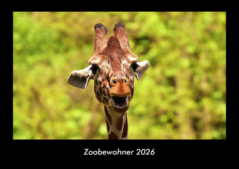 Zoobewohner Fotokalender 2026 - Hauptbild