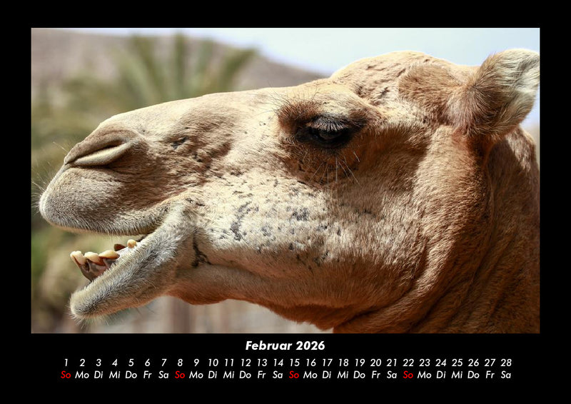 Zoobewohner Fotokalender 2026 - 2