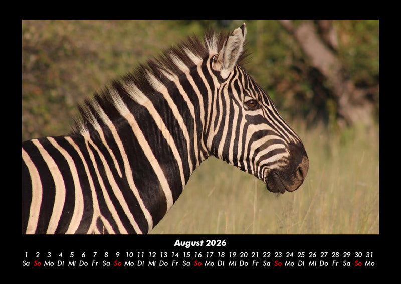 Zoobewohner Fotokalender 2026 - 8