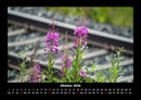 Blumenzauber Fotokalender 2026 - 10