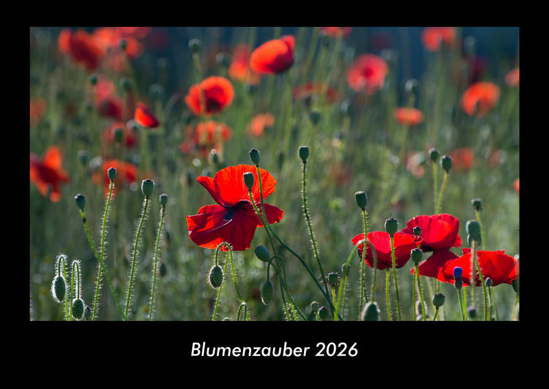Blumenzauber Fotokalender 2026 - Hauptbild