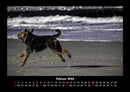 Hundezauber Fotokalender 2026 - 2