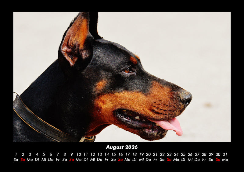 Hundezauber Fotokalender 2026 - 8