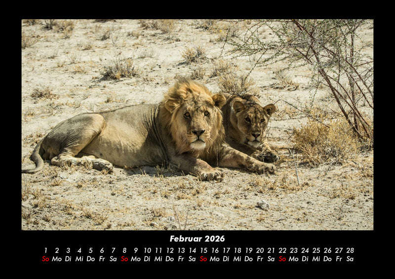 Tiere in der Wildnis Fotokalender 2026 - 2