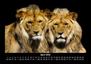 Tiere in der Wildnis Fotokalender 2026 - 4