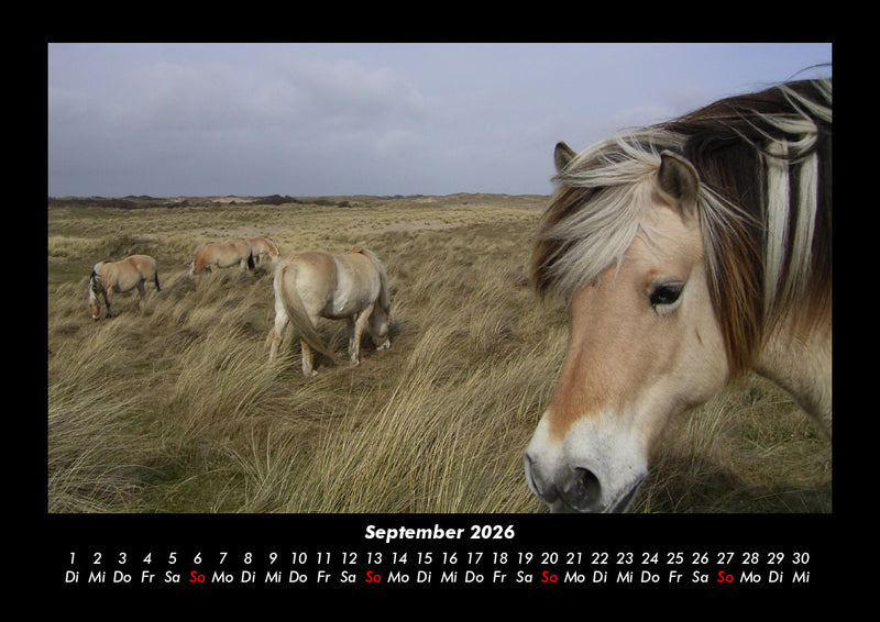 Die Welt der Pferde Fotokalender 2026 - 9