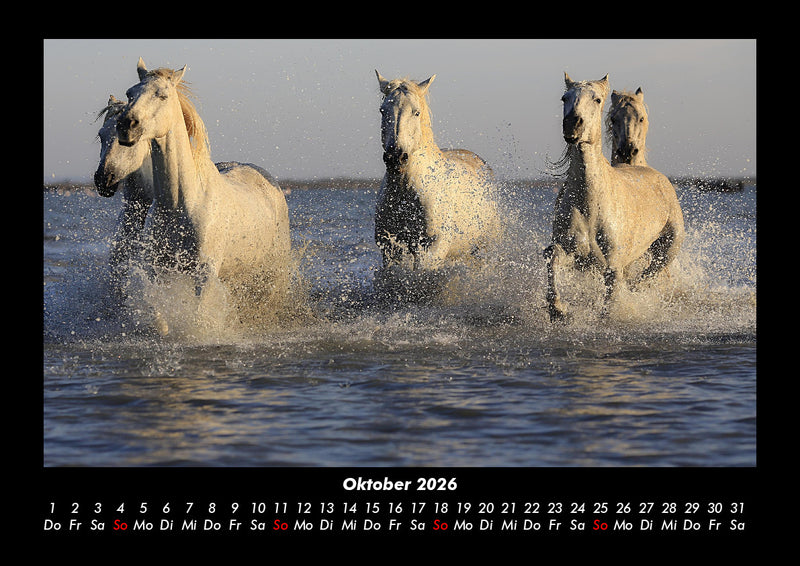 Die Welt der Pferde Fotokalender 2026 - 10