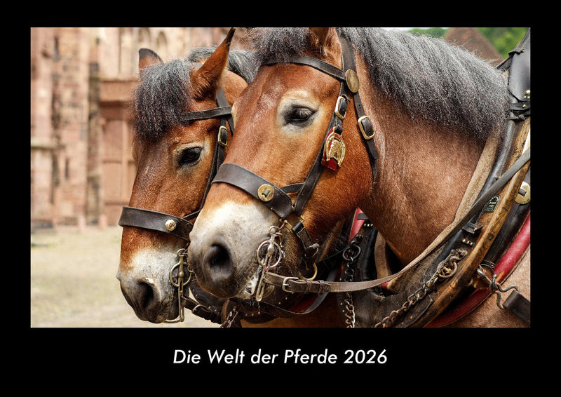 Die Welt der Pferde Fotokalender 2026 - Hauptbild