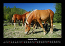 Welt der Pferde Fotokalender 2026 - 10