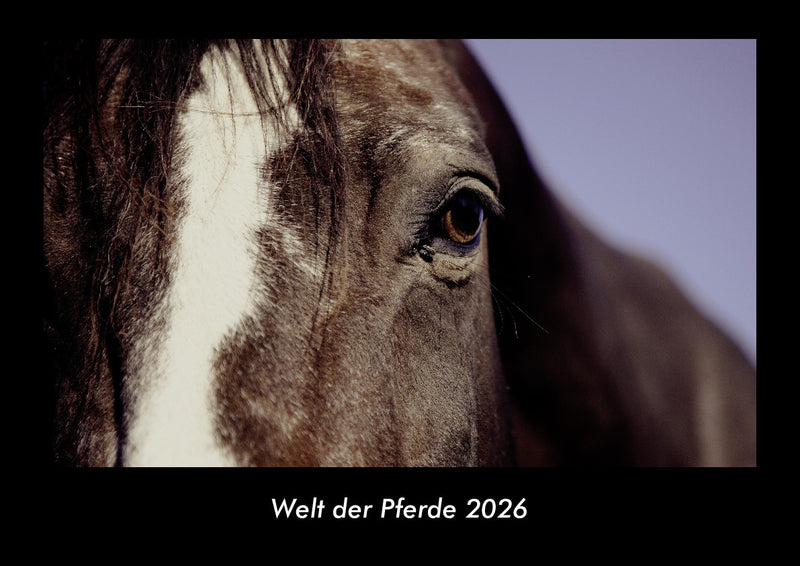 Welt der Pferde Fotokalender 2026 - Hauptbild