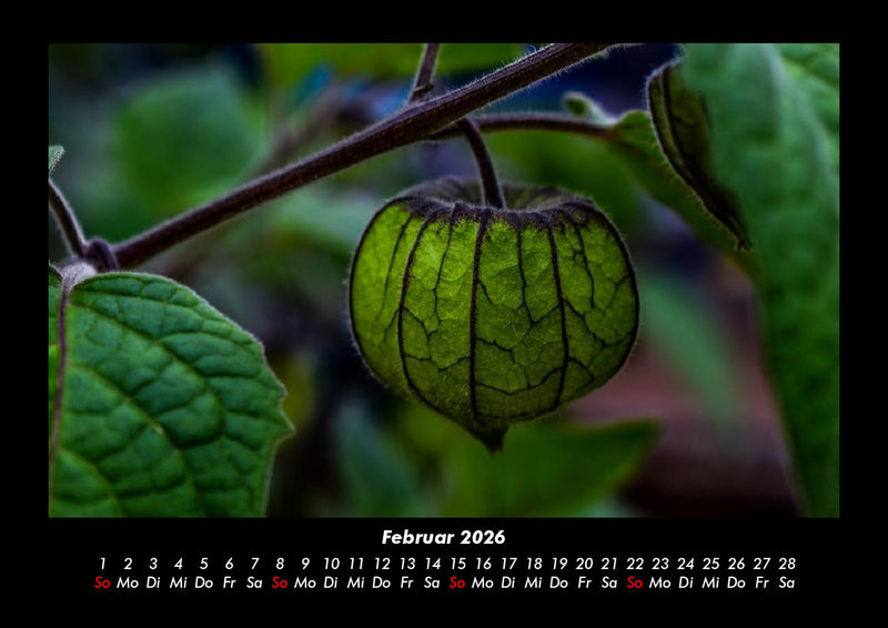 Unser Heimatplanet Fotokalender 2026 - 2