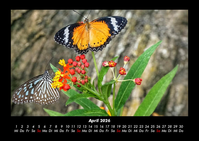 Unser Heimatplanet Fotokalender 2026 - 4