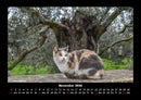 Für Katzenfreunde Fotokalender 2026 - 11