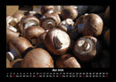 Pilzkalender Fotokalender 2026 - 5