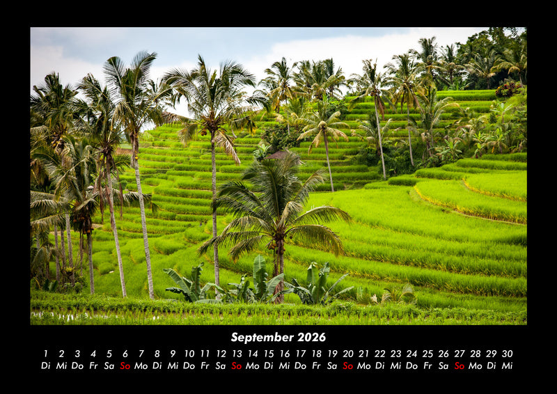 Palmentraum Fotokalender 2026 - 9