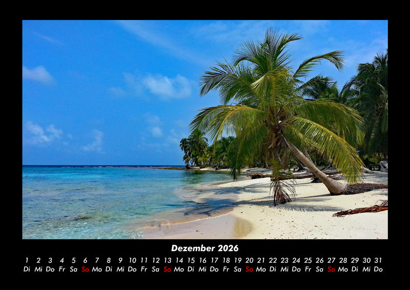 Palmentraum Fotokalender 2026 - 12