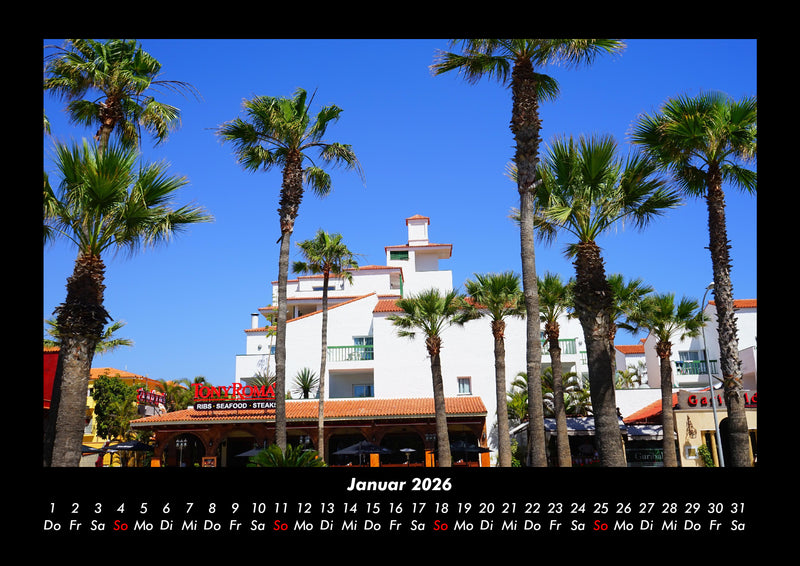 Palmentraum Fotokalender 2026 - 1