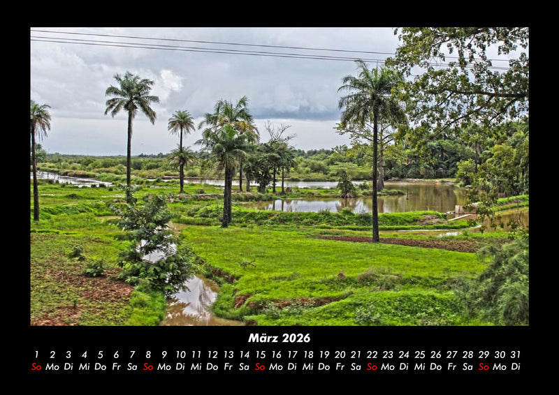 Palmentraum Fotokalender 2026 - 3