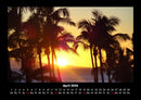 Palmentraum Fotokalender 2026 - 4