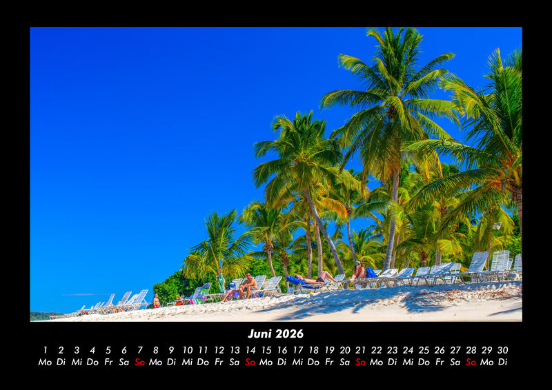 Palmentraum Fotokalender 2026 - 6