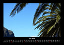 Palmentraum Fotokalender 2026 - 7