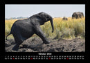 Elefanten - Die sanften Riesen Afrikas Fotokalender 2026 - 10