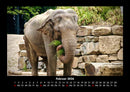 Elefanten - Die sanften Riesen Afrikas Fotokalender 2026 - 2