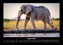 Elefanten - Die sanften Riesen Afrikas Fotokalender 2026 - 8