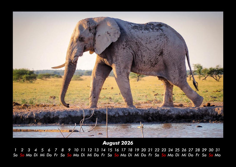 Elefanten - Die sanften Riesen Afrikas Fotokalender 2026 - 8
