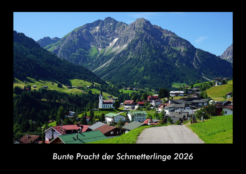 Bunte Pracht der Schmetterlinge Fotokalender 2026 - Hauptbild