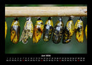 Bunte Pracht der Schmetterlinge Fotokalender 2026 - 6