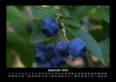 Obstkalender Fotokalender 2026 - 9