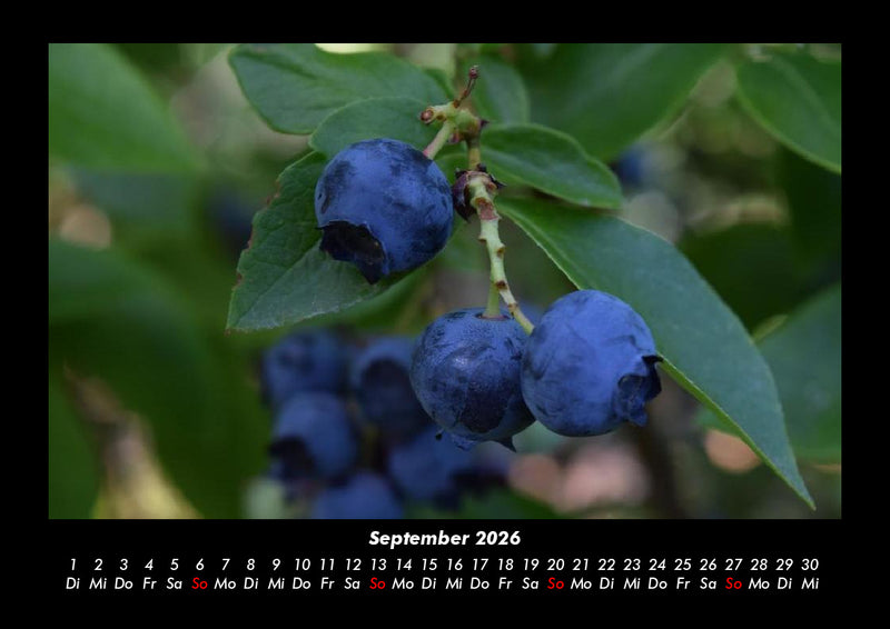 Obstkalender Fotokalender 2026 - 9